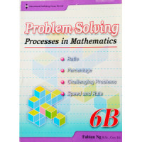 Problem Solving Processes in Mathematics P6B