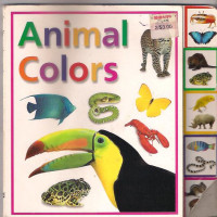 Animals Colors