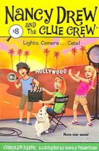 Lights, camera -- cats!