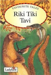 Riki TiKi Tavi