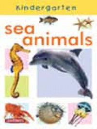 Kindergarten : Sea Animals