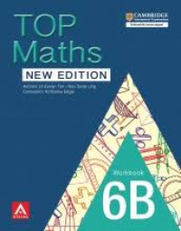 Top Maths 6B Workbook