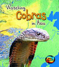 Watching cobras in Asia