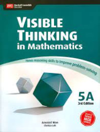 Visible thinking in mathematics 5A