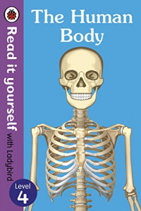 The Human Body